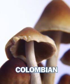 Colombian Spore Syringe