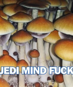 Jedi Mind Fuck Spore Syringe