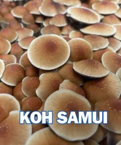 Koh Samui Super Strain