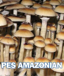 PES Amazonian Spore Syringe