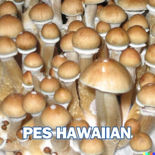 PES Hawaiian Spore Syringe