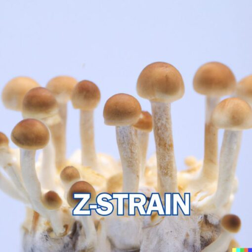 Z-Strain Spore Syringe